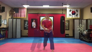 Hapkido kicks