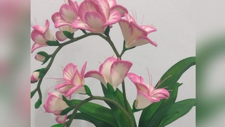 orqudea frsia em Eva passo a passo