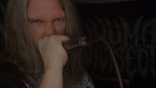 Royal Infanticide - In The Face Of Betrayal