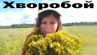 Зверобой - хворобой