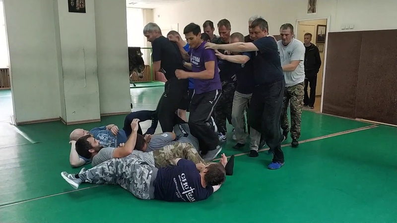 2020 Systema Ryabko Int seminar. Survival in the