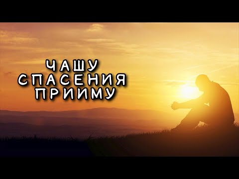 ЧАШУ СПАСЕНИЯ ПРИИМУ ПРИЧАСТЕН НА ЛИТУРГИИ АЛЕКСЕЙ КЛЕПЦИН
