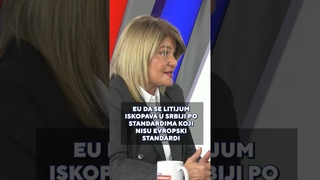 Danijela Nestorovi - Ako je litijum cena za ulazak u EU, onda tu cenu ne prihvatam !