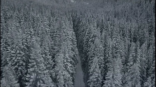 INVISN - bliss [Phonk Music Video]