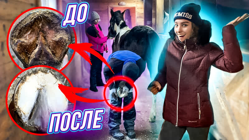 VLOG в Конюшне, ПЕРВАЯ РАСЧИСТКА копыт жеребенка,