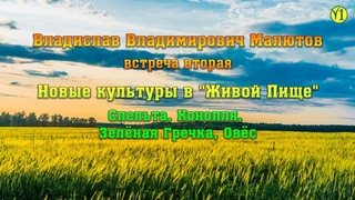Новые культуры от Владислава Владимировича Малютова в Живой Пище (спельта, зел гречка (Видео 115)