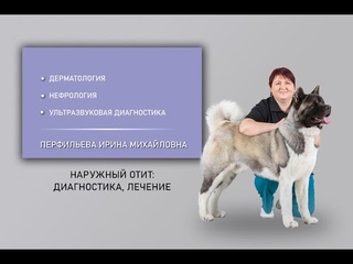 Наружный отит.  Диагностика , лечение.