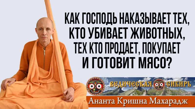 Как Господь наказывает тех, кто убивает животных, тех кто