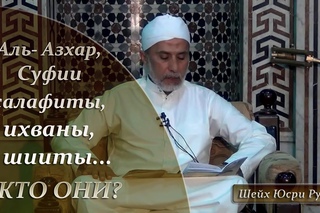 Салафиты, ихваны, суфии, шииты, Аль-Азхар...кто они? | Шейх Юсри Рушди [HaMim Media]
