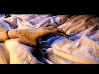 Sleepytime Gorilla Museum- Flinch