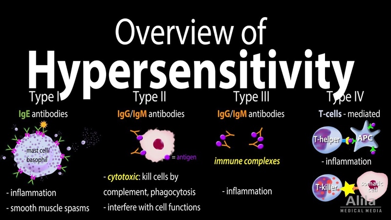 Hypersensitivity, Overview of the 4 Types,
