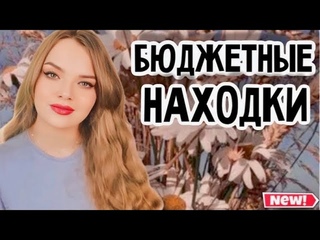 НОВЫЕ БЮДЖЕТНЫЕ АРОМАТЫ С OZON И WB | НЕДОРОГОЙ ПАРФЮМ С КАЧЕСТВЕННЫМ ЗВУЧАНИЕМ НА ЛЕТО И ОСЕНЬ