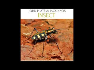 John Plate & Jack Kaos - Insect (2010)