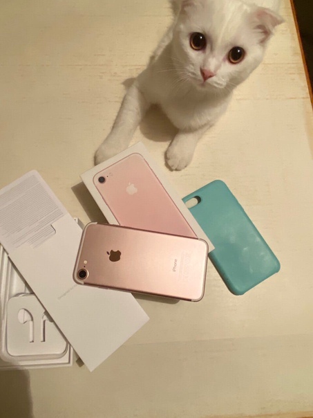 Apple iPhone 7