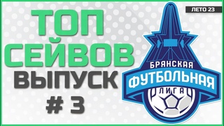 Топ сейвов летнего чемпионата БФЛ выпуск 3