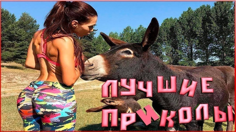 Подборка новых русских приколов, смешные видео, треш ,