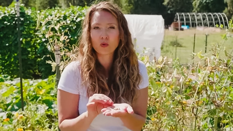 Never Buy Garden Seed Again Seed Saving Secrets with 100 Year Old Bean