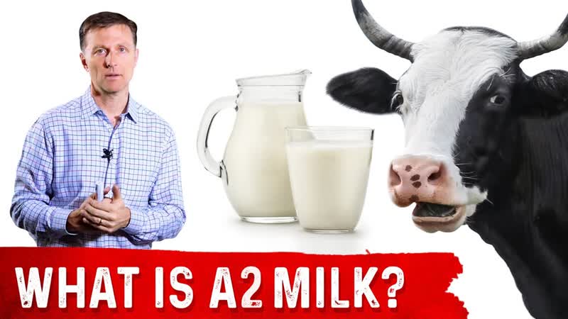 What Is A2 Milk Dr.