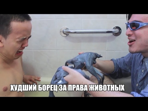 ХУДШИЙ БОРЕЦ ЗА ПРАВА