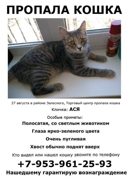 Помощь животным новомосковск. Помощь животным новомосковск