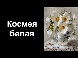 Космея белая. Уроки со скидкой 90 процентов в описании ролика.