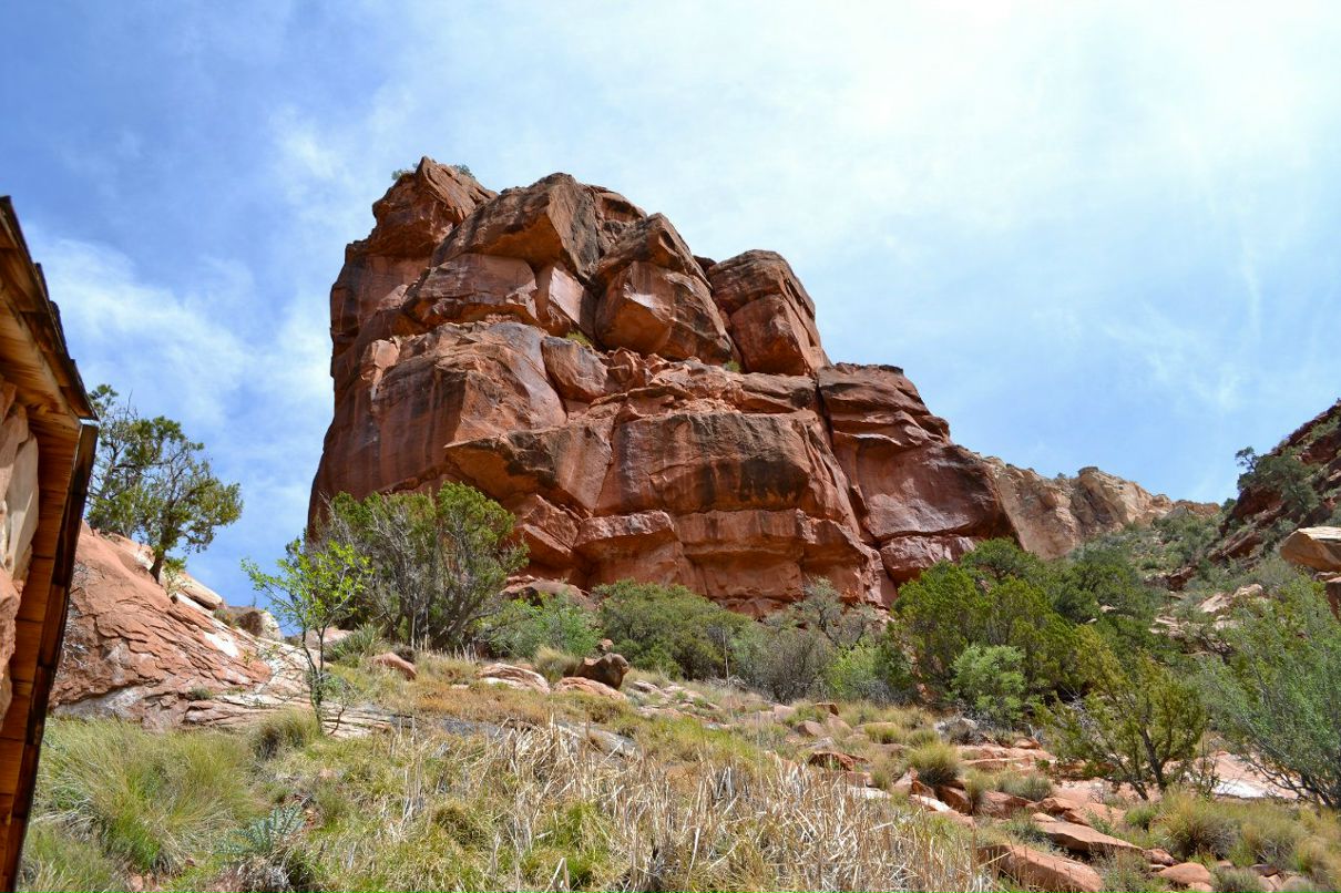 Наталья Корицкая | San Francisco
