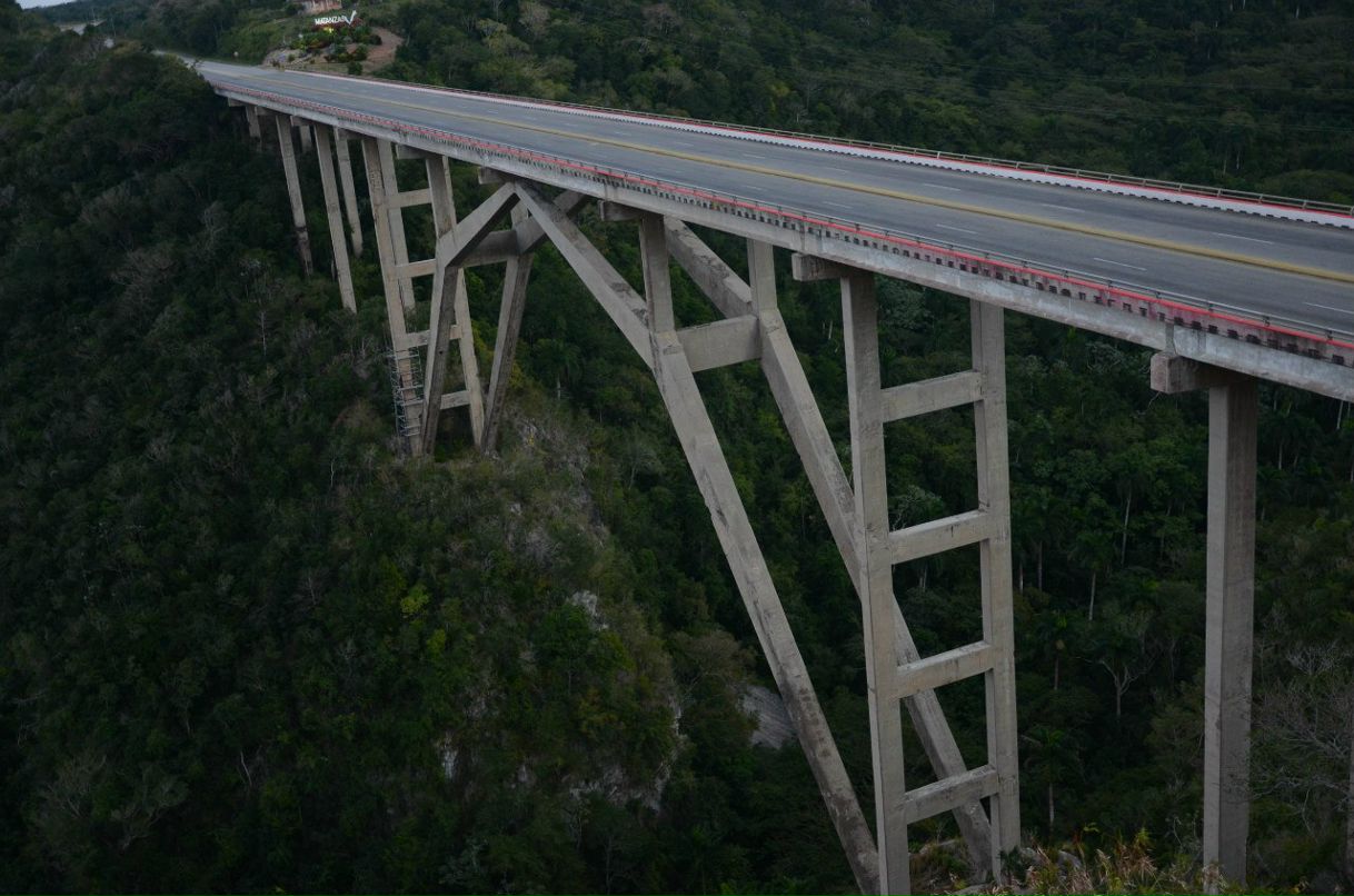 Сергей Желнинский Александрович | Воронеж