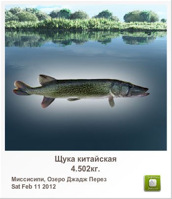 Светлана Лабудина | Вербилки