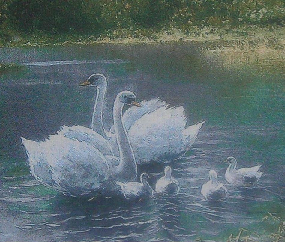 Маша Терещенко | Санкт-Петербург