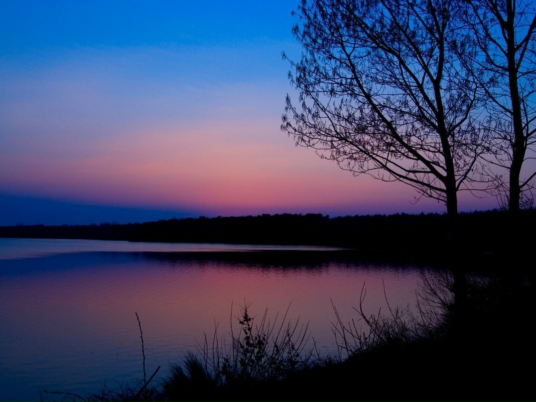 Оля Шумега | 