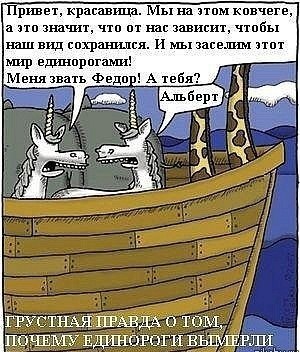 Оля Синица | Киев