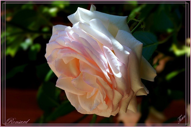 Карина Титова | Екатеринбург