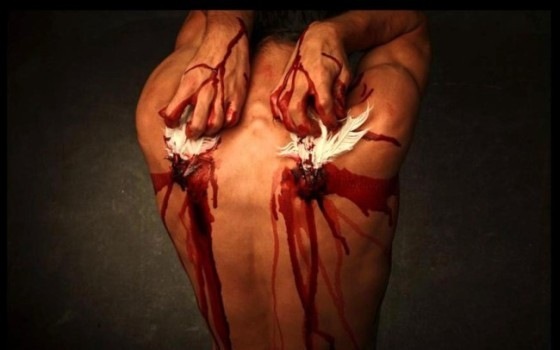 №66, Екатерина Волкова №66, Екатерина Волкова