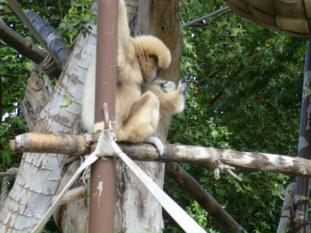 Лариса Федорова | New York City