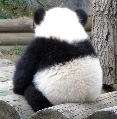 №68, Светлана Пономарева, Москва №68, Светлана Пономарева, Москва