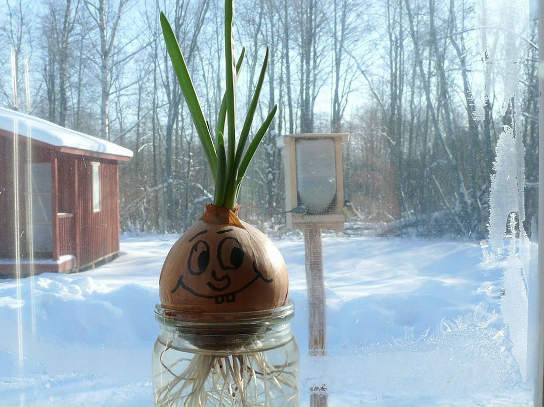 Ольга Кадрова | 