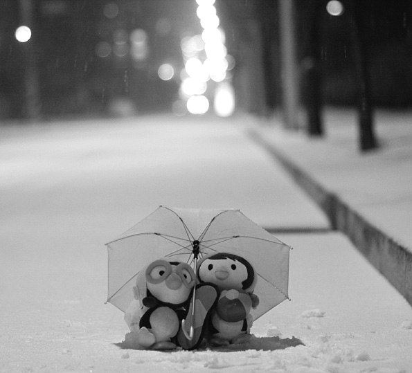 Яна Росина | Смоленск