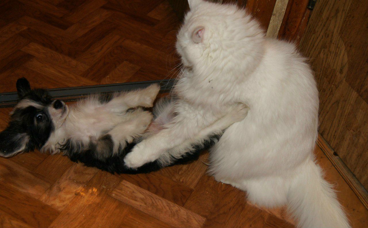 Наталья Ванина (Плигина) | Санкт-Петербург