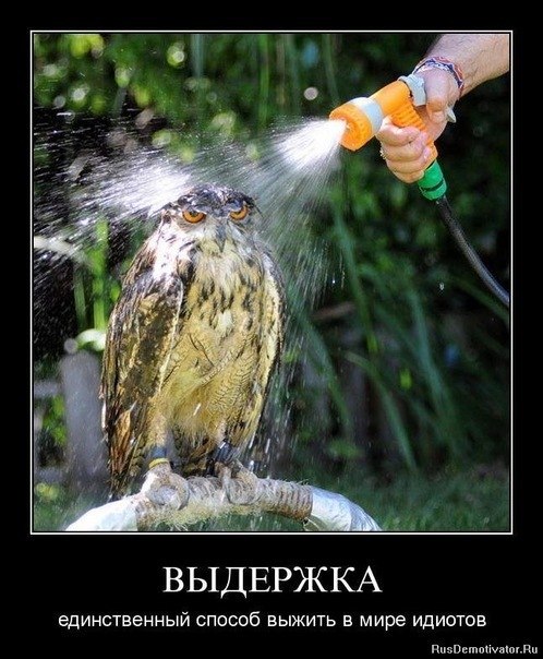 Дима Уругвай | Москва