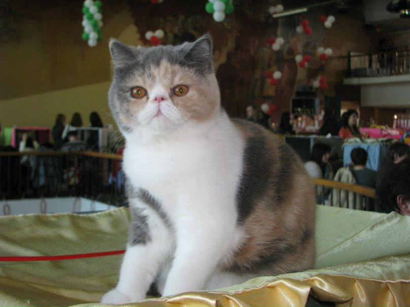 Мария Рассохина | Барнаул