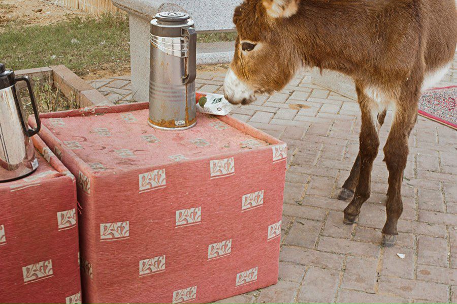 Татьяна Щербачевич | Минск