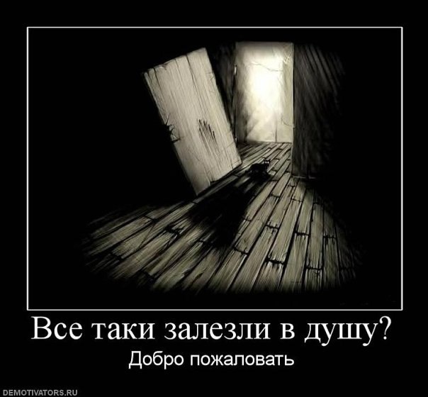 Ekaterina Podgorbunskikh | Новосибирск