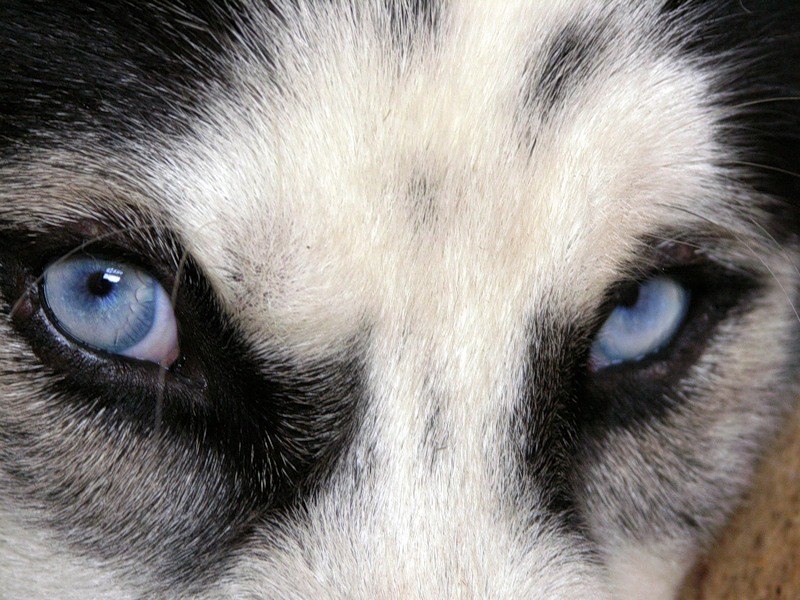 Андрей Линьков | Бахмут / Артемовск