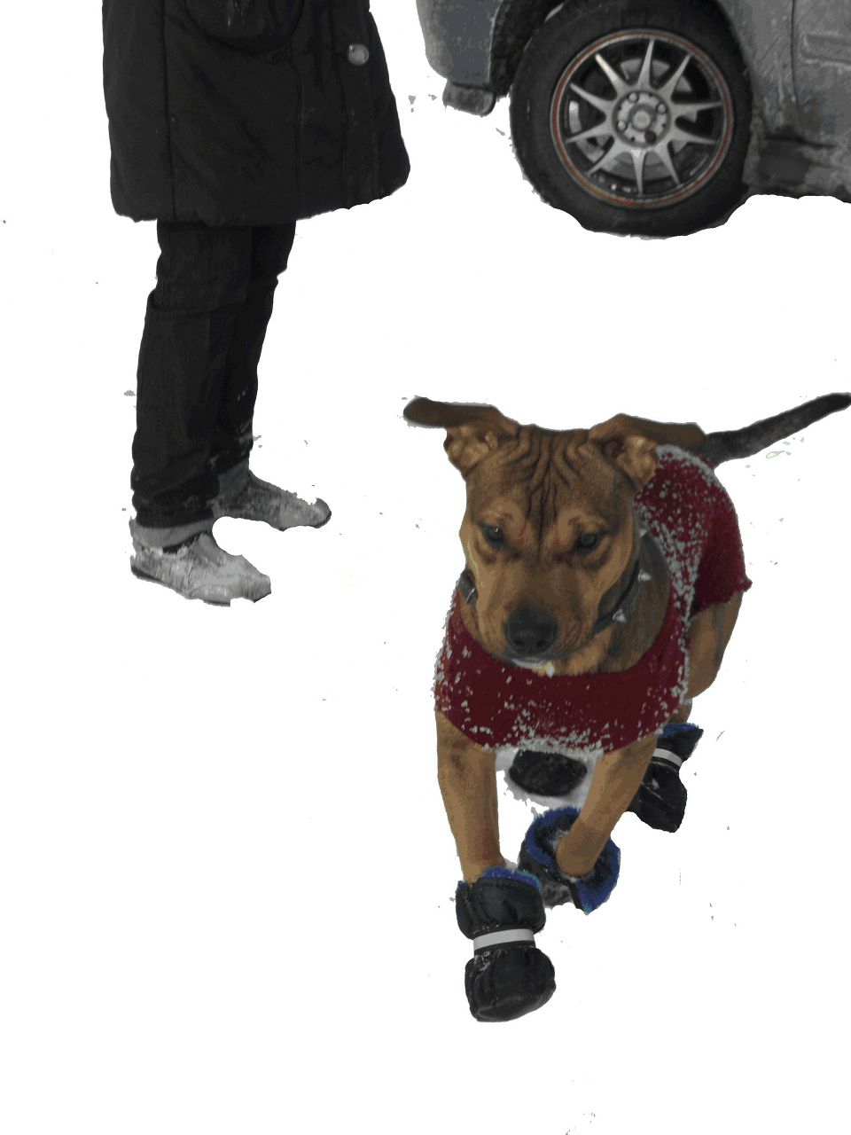 Николай Богуцкий | Киев