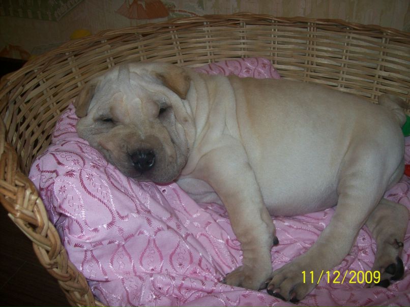 Олеся Сагирова | Казань