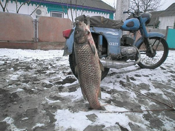 №90, Олег Кучерук, 31 год, Киев №90, Олег Кучерук, 31 год, Киев