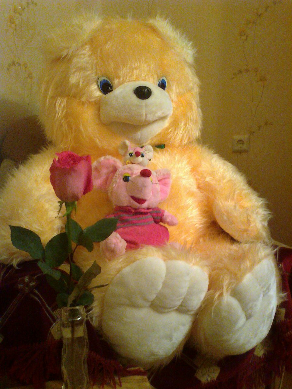 Надежда Волкова | Чебоксары