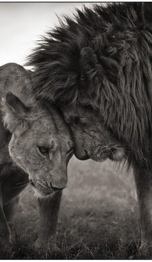 Надюша Кири | Красноярск