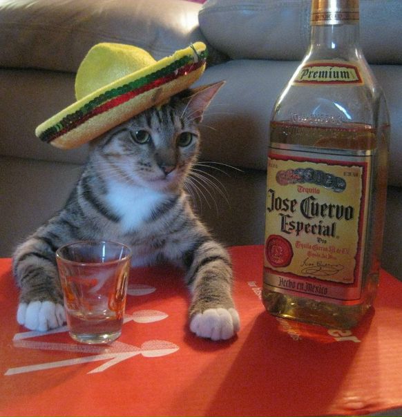 №44, Макс Кириенко, Москва №44, Макс Кириенко, Москва