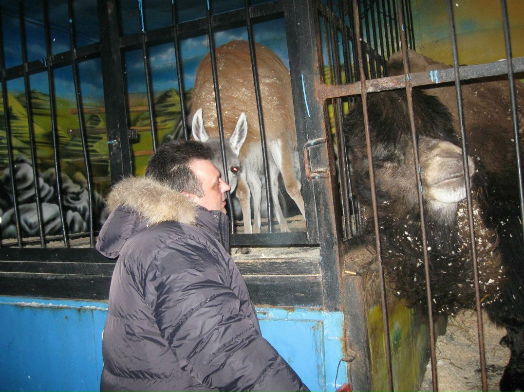 Алексей Засорин | Пермь